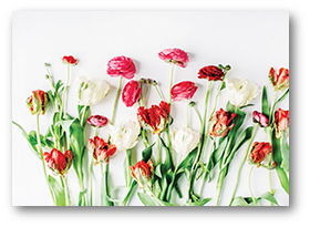 Bild - Grusskarte Happy Flowers